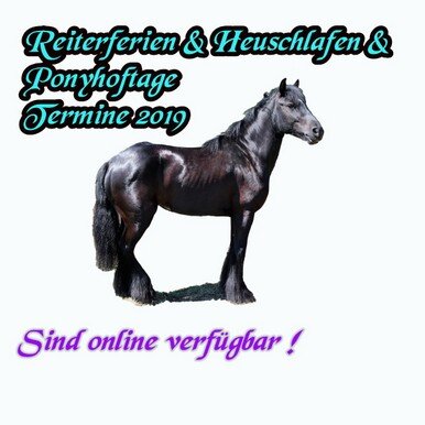 Termine Ponyhof Kaata 2019 sind online