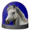 Schneekugel Pony D